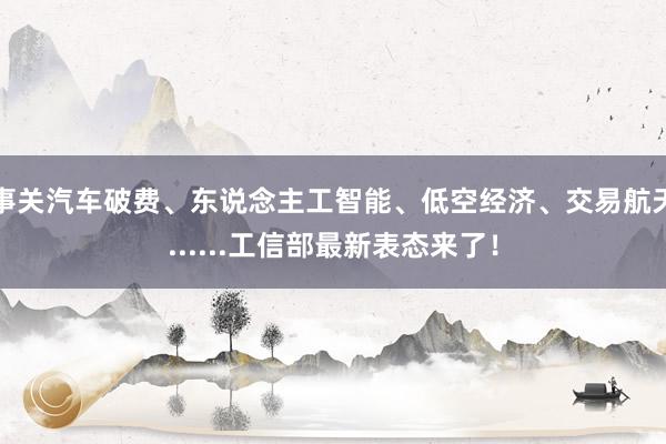 事关汽车破费、东说念主工智能、低空经济、交易航天......工信部最新表态来了！