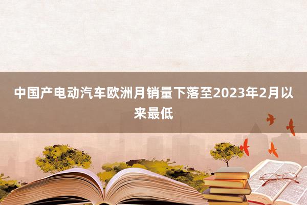 中国产电动汽车欧洲月销量下落至2023年2月以来最低