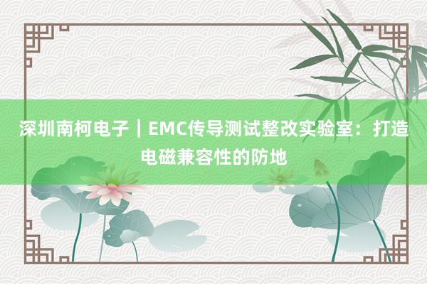 深圳南柯电子｜EMC传导测试整改实验室：打造电磁兼容性的防地