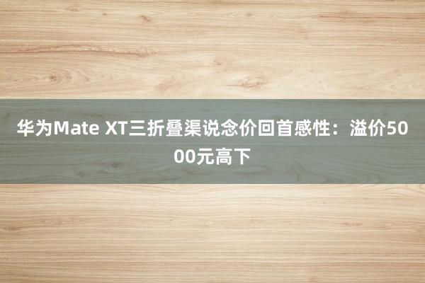 华为Mate XT三折叠渠说念价回首感性：溢价5000元高下