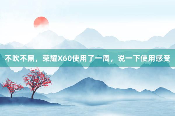 不吹不黑，荣耀X60使用了一周，说一下使用感受