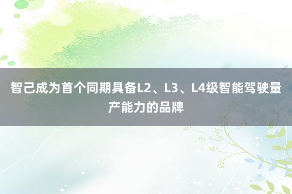 智己成为首个同期具备L2、L3、L4级智能驾驶量产能力的品牌