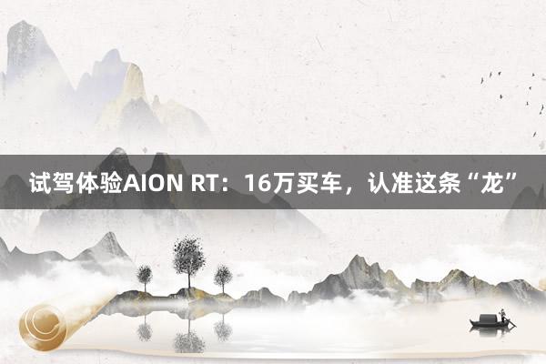 试驾体验AION RT：16万买车，认准这条“龙”