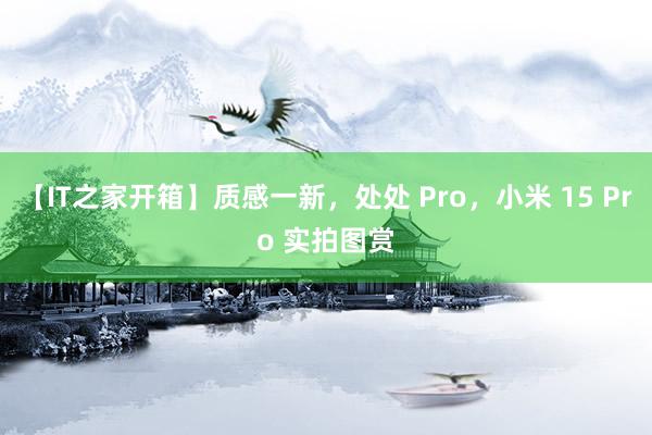 【IT之家开箱】质感一新，处处 Pro，小米 15 Pro 实拍图赏