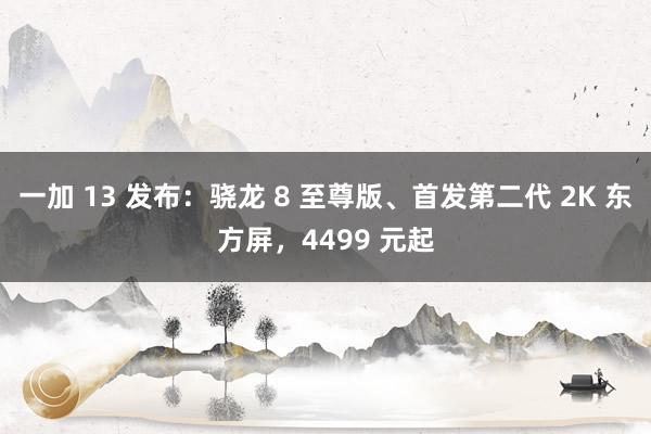 一加 13 发布：骁龙 8 至尊版、首发第二代 2K 东方屏，4499 元起