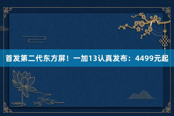 首发第二代东方屏！一加13认真发布：4499元起