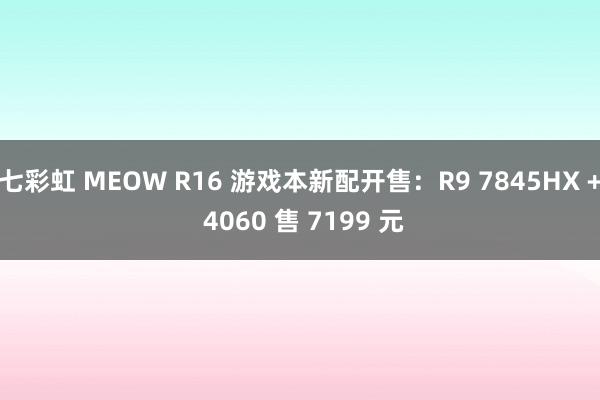 七彩虹 MEOW R16 游戏本新配开售：R9 7845HX + 4060 售 7199 元