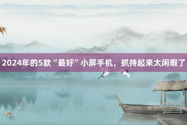 2024年的5款“最好”小屏手机，抓持起来太闲暇了