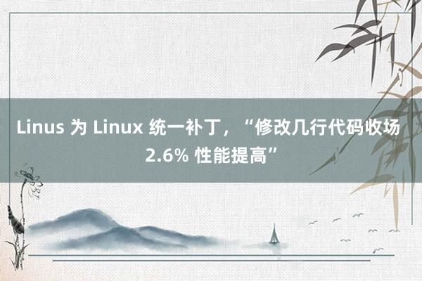 Linus 为 Linux 统一补丁，“修改几行代码收场 2.6% 性能提高”