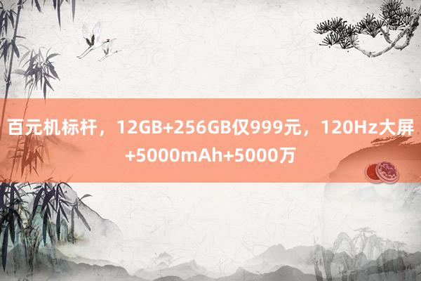 百元机标杆，12GB+256GB仅999元，120Hz大屏+5000mAh+5000万