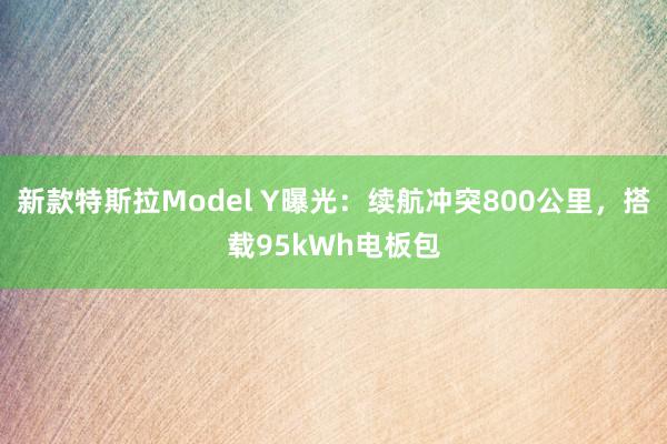 新款特斯拉Model Y曝光：续航冲突800公里，搭载95kWh电板包