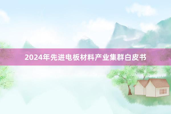 2024年先进电板材料产业集群白皮书