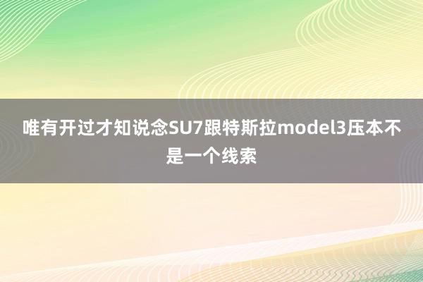 唯有开过才知说念SU7跟特斯拉model3压本不是一个线索