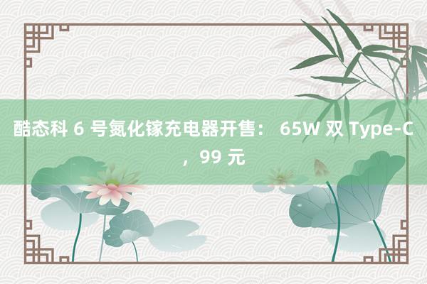 酷态科 6 号氮化镓充电器开售： 65W 双 Type-C，99 元