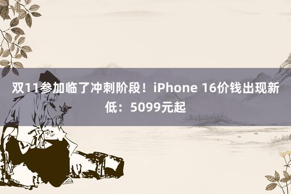 双11参加临了冲刺阶段！iPhone 16价钱出现新低：5099元起