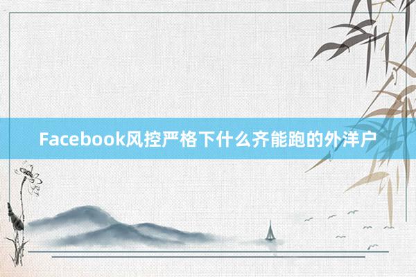 Facebook风控严格下什么齐能跑的外洋户