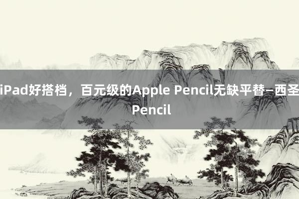 iPad好搭档，百元级的Apple Pencil无缺平替—西圣 Pencil