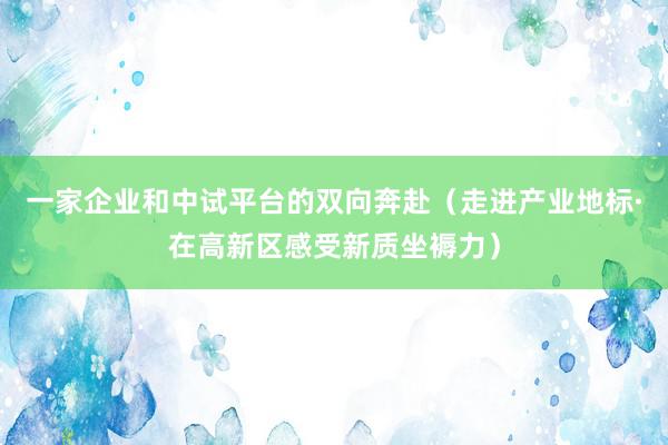 一家企业和中试平台的双向奔赴（走进产业地标·在高新区感受新质坐褥力）