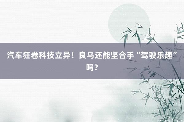 汽车狂卷科技立异！良马还能坚合手“驾驶乐趣”吗？