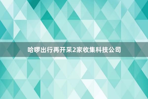 哈啰出行再开采2家收集科技公司