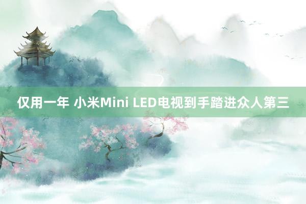 仅用一年 小米Mini LED电视到手踏进众人第三