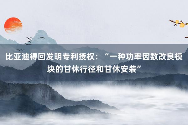 比亚迪得回发明专利授权：“一种功率因数改良模块的甘休行径和甘休安装”