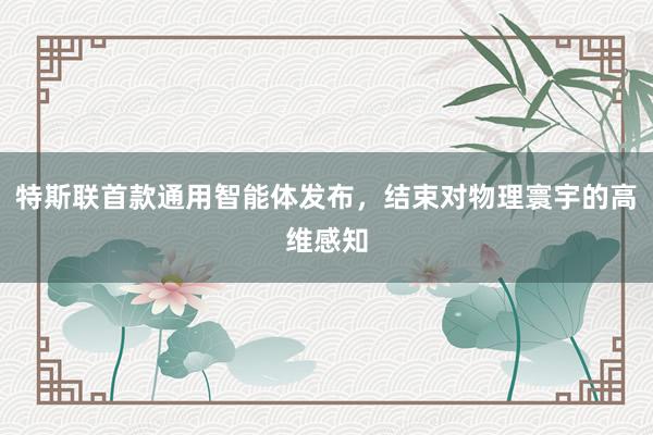 特斯联首款通用智能体发布，结束对物理寰宇的高维感知