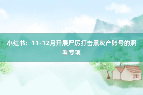 小红书：11-12月开展严厉打击黑灰产账号的照看专项