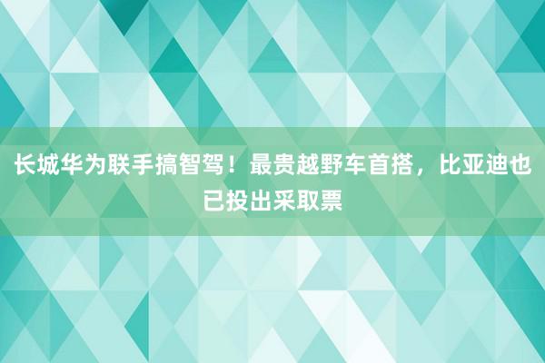 长城华为联手搞智驾！最贵越野车首搭，比亚迪也已投出采取票