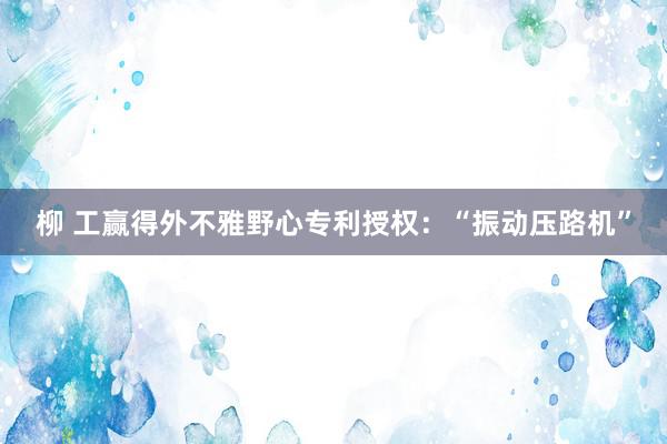 柳 工赢得外不雅野心专利授权：“振动压路机”