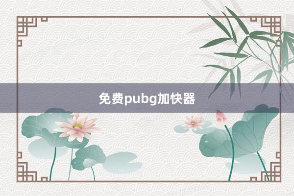 免费pubg加快器