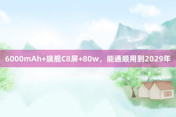 6000mAh+旗舰C8屏+80w，能通顺用到2029年