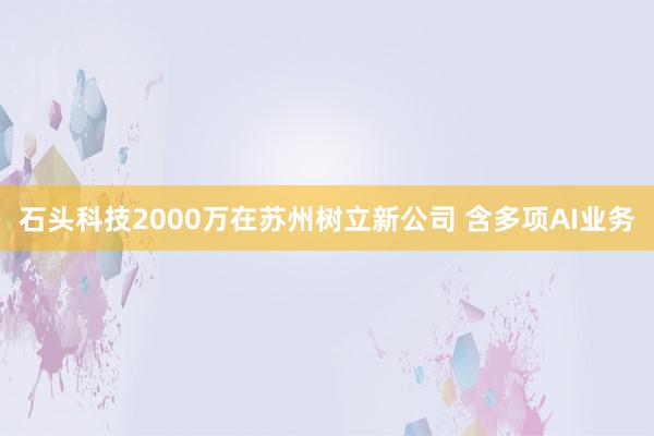 石头科技2000万在苏州树立新公司 含多项AI业务