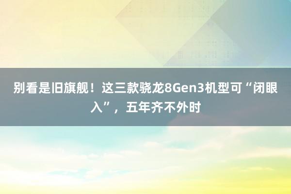 别看是旧旗舰！这三款骁龙8Gen3机型可“闭眼入”，五年齐不外时