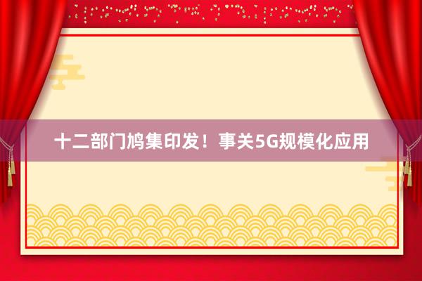 十二部门鸠集印发！事关5G规模化应用