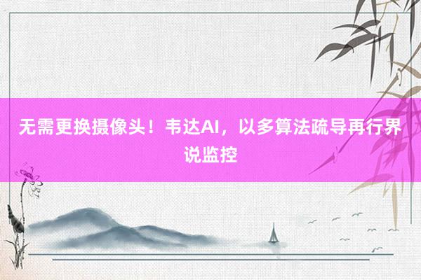 无需更换摄像头！韦达AI，以多算法疏导再行界说监控