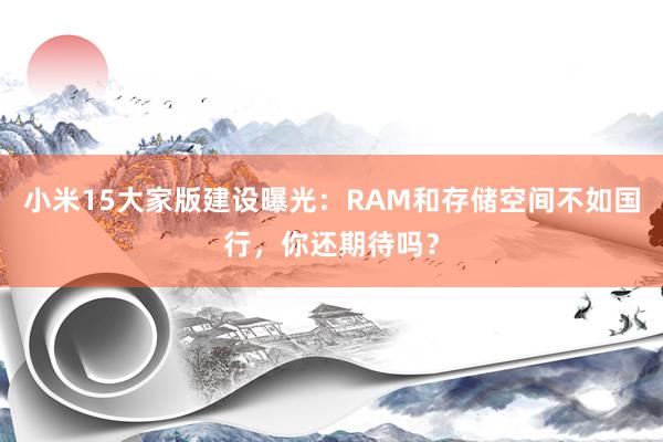 小米15大家版建设曝光：RAM和存储空间不如国行，你还期待吗？