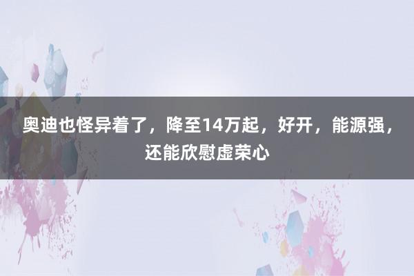 奥迪也怪异着了，降至14万起，好开，能源强，还能欣慰虚荣心