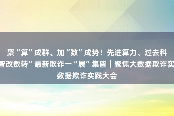 聚“算”成群、加“数”成势！先进算力、过去科技和“智改数转”最新欺诈一“展”集皆｜聚焦大数据欺诈实践大会