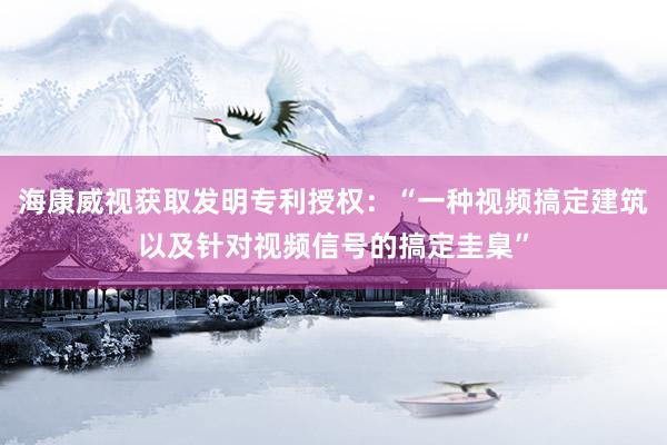 海康威视获取发明专利授权：“一种视频搞定建筑以及针对视频信号的搞定圭臬”