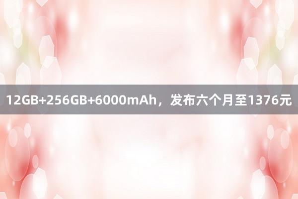 12GB+256GB+6000mAh，发布六个月至1376元