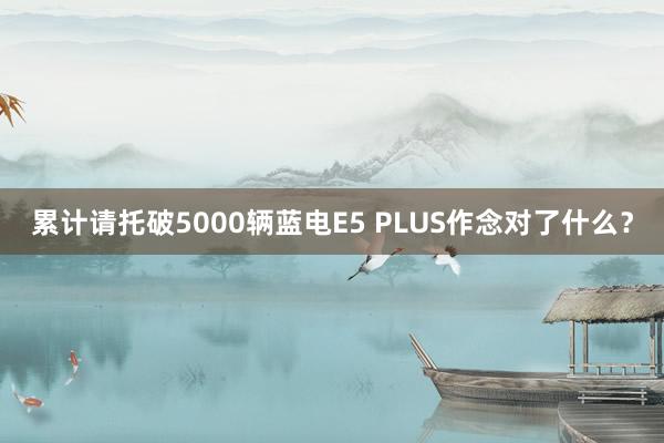 累计请托破5000辆蓝电E5 PLUS作念对了什么？