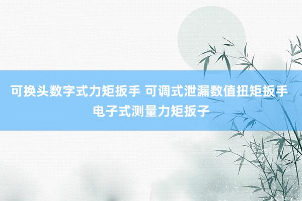 可换头数字式力矩扳手 可调式泄漏数值扭矩扳手 电子式测量力矩扳子