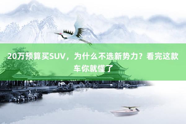 20万预算买SUV，为什么不选新势力？看完这款车你就懂了