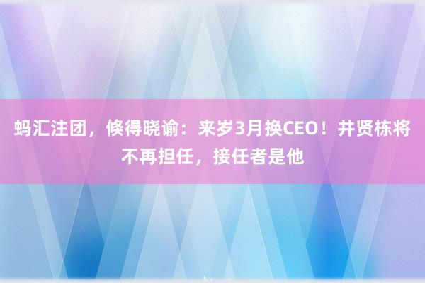 蚂汇注团，倏得晓谕：来岁3月换CEO！井贤栋将不再担任，接任者是他