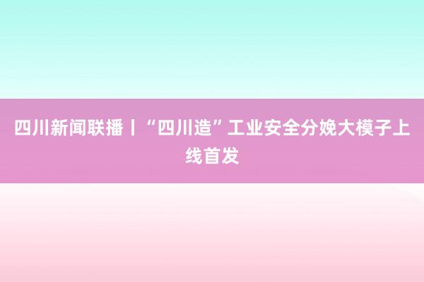 四川新闻联播丨“四川造”工业安全分娩大模子上线首发