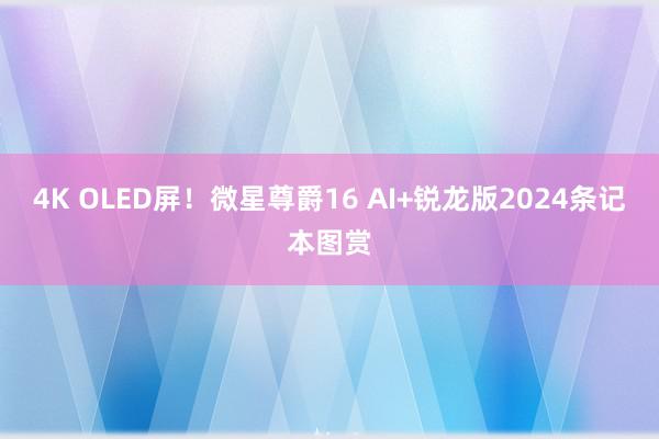 4K OLED屏！微星尊爵16 AI+锐龙版2024条记本图赏