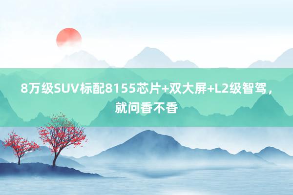 8万级SUV标配8155芯片+双大屏+L2级智驾，就问香不香