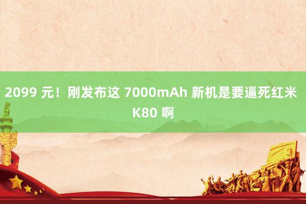 2099 元！刚发布这 7000mAh 新机是要逼死红米 K80 啊