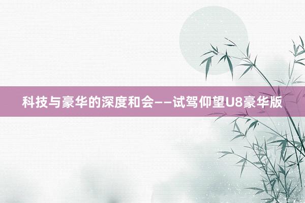 科技与豪华的深度和会——试驾仰望U8豪华版